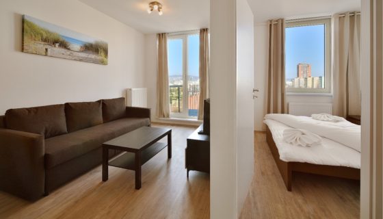 Economy One-bedroom Apartment – Prievozska 10