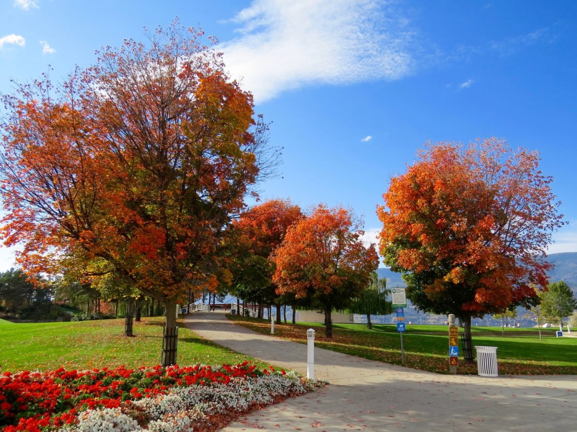 park running