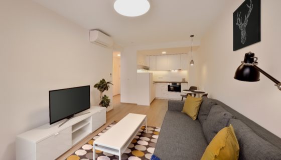 Economy apartmán s 1 spálňou – Janáčkova 1