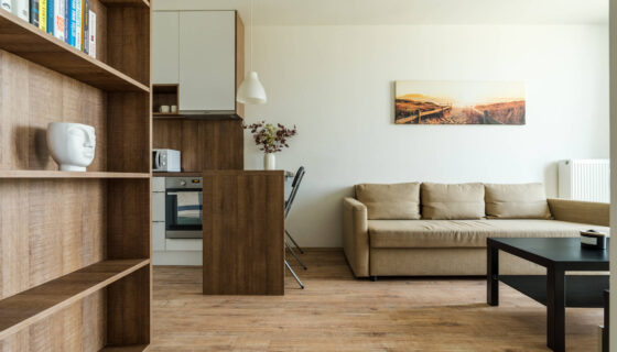 Economy One-bedroom Apartment – Prievozska 10